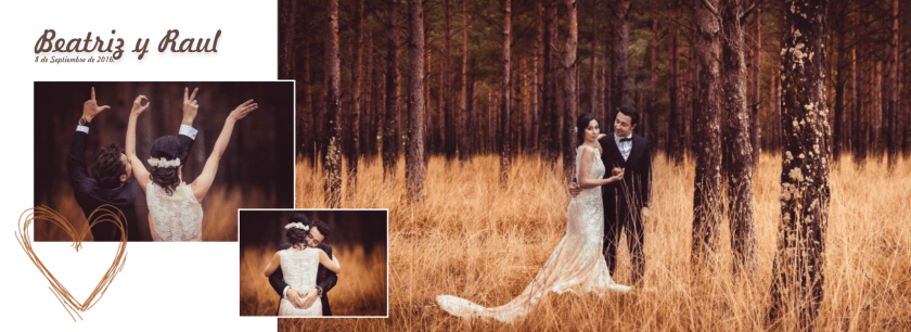 Plancha de presentación en album 20x30