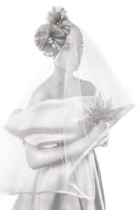 Polar Brides by Iyop's