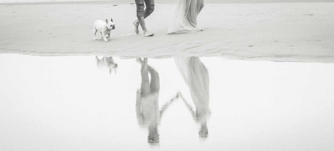 Preboda en la playa. B+R+B. Bulldog francés.