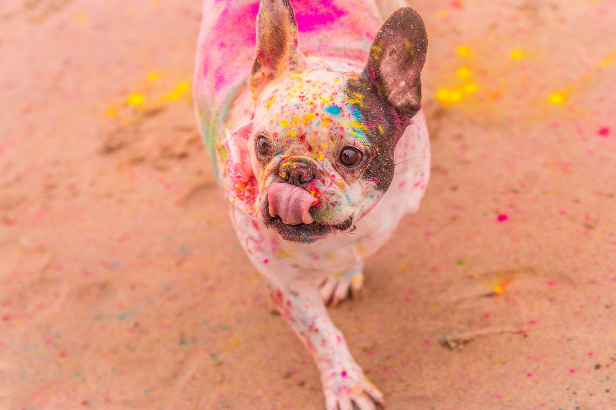 Preboda-BR-Zyllan-Fotografia-Boda-16