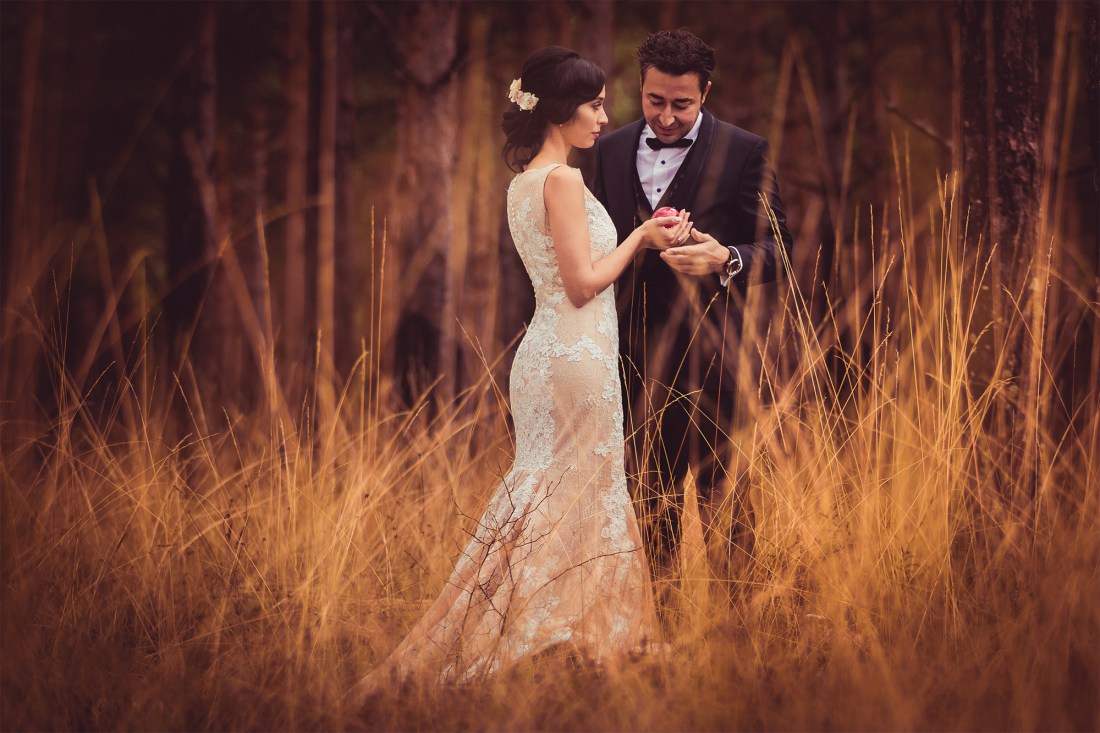 Sinfonía de otoño. B+R